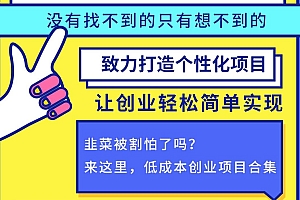 火爆的虚拟资源站项目 无需店面 无需囤货 无需经验 特别适合小白创业