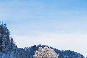 图片2024手机壁纸水中倒影高清风景