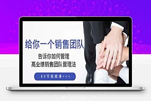 给你 一个销售团队,告诉你如何管理,高业绩销售团队管理法(89节课)