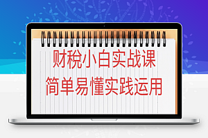 财稅小白实战课简单易懂实践运用