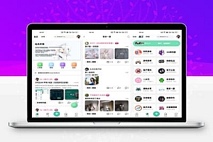 星域社区原版源码,今年最美社区源码。