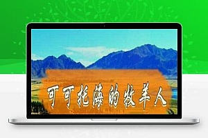 介绍几种项目,一个人就能开干那种