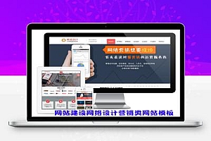 网站建设网络设计营销类网站模板