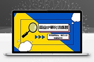 商业IP-孵化训练营新版,教你做商业Ip,做好人设,流量搞好钱