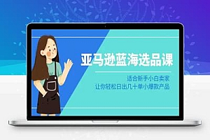 亚马逊-蓝海选品课:适合新手小白卖家,让你轻松日出几十单小爆款产品