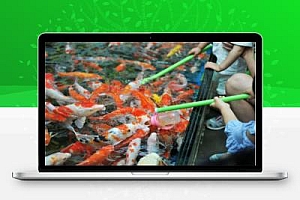 火了很多年,月利润3W+的暴利项目