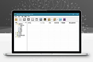 下载利器IDM v6.42.14绿色版/一款Windows 平台功能强大的多线程下载工具