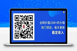 揭秘网络时代的盈利新模式:虚拟资源网站的创业之路