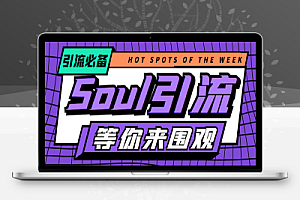 最新Soul全自动引流全类私域粉丝脚本,可根据关键词筛选精准用户日引100+