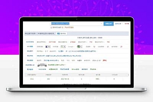 seo推广12年技术经验分享 2024年还能做吗?