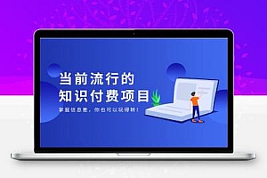 互联网爆火的虚拟资源站,项目招募合伙人