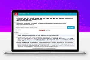 2024最新视频去水印源码