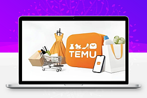 Temu抢发货台的油猴脚本【纯代码无教程小白勿入】