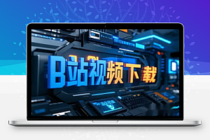 B站视频下载转换工具