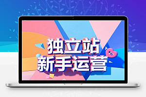 独立站新手体系化 运营全过程精准选品高效建站