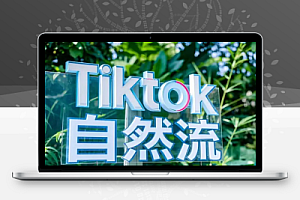 Tiktok自然流玩法视频爆产出几百上千单【飞书文档】