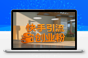 2025年快手6.0引流保姆级教程震撼来袭精准创业粉