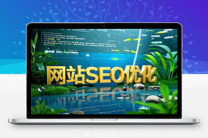 网站Seo优化实战VIP视频教程