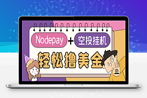 最适合新手小白上手的web3钱包Nodepay空投项目,单窗口挂机收益10刀【永久脚本+使用教程】