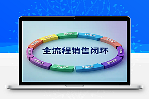 从引流到成交,掌握全流程销售闭环