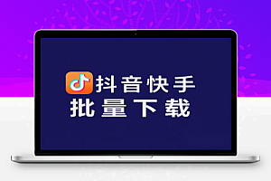 抖音快手批量下载工具:绿色单文件版,支持主页、收藏、喜欢及合集下载