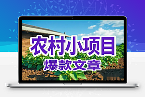 手把手教你用DeepSeek写农村小项目爆款公众号文章