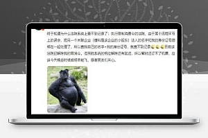 罗永浩三年内还完6亿债务,他的直播带货成功秘籍是什么