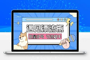 遇见漂流瓶全自动特级引流助手,轻松日引色粉500+【引流助手+使用教程】