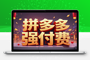 拼多多强付费玩法:开启新时代,快速提升转化率与投产