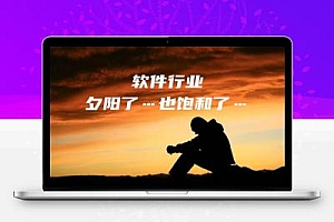 中小软件公司批量倒闭,中年程序员出来能干啥?