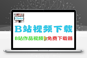 B站作品视频无须登录免费下载器
