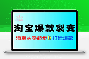 淘宝爆款标品裂变与非标矩阵