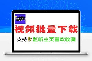 抖音快手视频主页视频批量下载