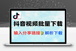 抖音视频下载器支持批量下载