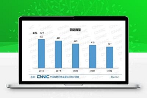 CNNIC最新报告透露5大真相,普通人机会在哪?