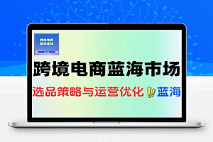 跨境电商蓝海市场定位数据选品