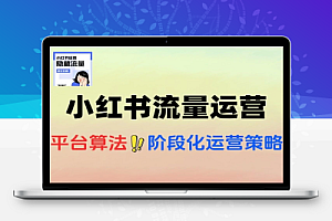 小红书流量运营实战教利用野路子获取流量