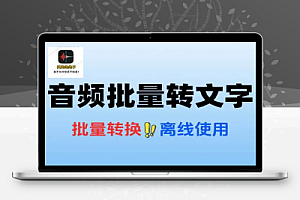 音频批量转换文字支持离线翻译