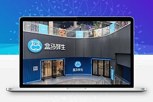 烧光阿里100亿,盒马也扛不住了:关店、砍业务
