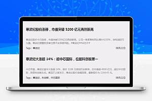 寒武纪的5000亿泡泡,快吹破了!