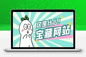 实测月赚3万的项目!不用建站,不用每天更新,加入合伙人,拥有同款资源网站!