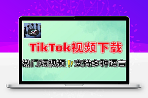 TikTok视频下载器