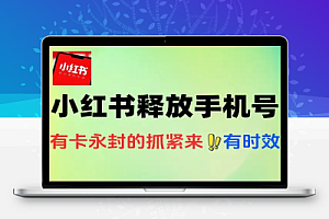 小红书最新注销释放手机号教程解封概率90%有时效