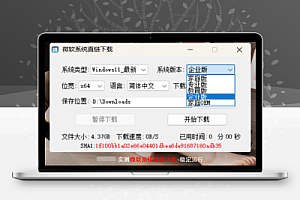 一键下载原版系统 | 微软系统直链下载工具 v1.3.4.5 中文绿色版