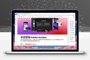 Adobe Acrobat Pro DC 2025.001.20672 破解版:32位&64位中文版,AI智能编辑,电子签名批量处理,PDF转换无损压缩,永久激活免更新