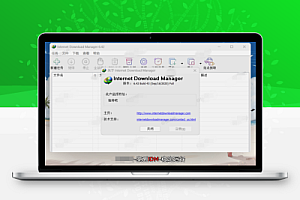 IDM下载器 v6.42.43 直装破解版:极速多线程下载,全网视频一键抓取,永久激活无广告,支持多浏览器的全能下载管理神器