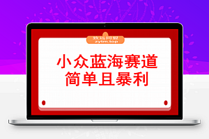 小众蓝海赛道,简单且暴利,市场需求量大,一单利润500-2000