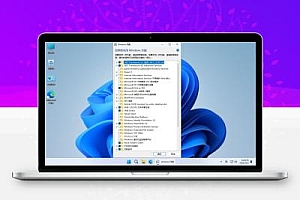 【不忘初心】Windows11 LTSC2024 (26100.6584) X64 可更新纯净精简版:3.66GB极致轻量,基于企业LTSC母盘,自动绕过TPM检测,支持本地账户登录,保留Defender安全中心,禁用强制更新,办公首选稳定系统