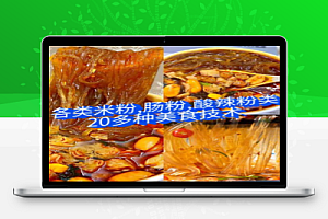 各类米粉,肠粉 酸辣粉类20多种美食技术教程