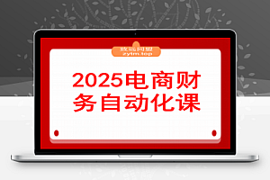 2025电商财务自动化课,模型搭建+数据处理+财务分析,效率提升80%